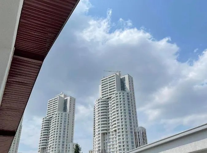 Luna By Sienna סקופיה